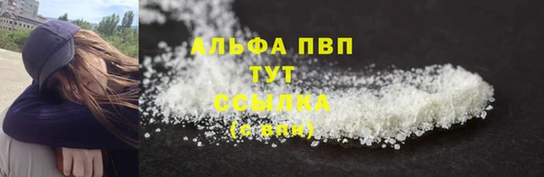 мяу мяу мука Баксан