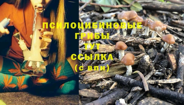 мяу мяу мука Баксан