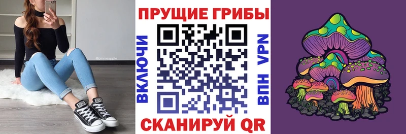 Галлюциногенные грибы Magic Shrooms  OMG ONION  Котельниково  как найти закладки 